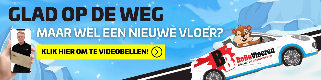 Videobellen met BeBo